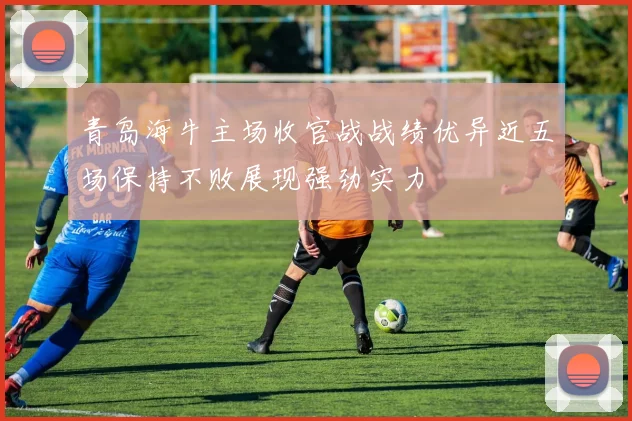 青岛海牛主场收官战战绩优异近五场保持不败展现强劲实力