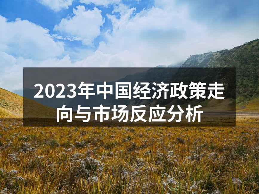 2023年中国经济政策走向与市场反应分析