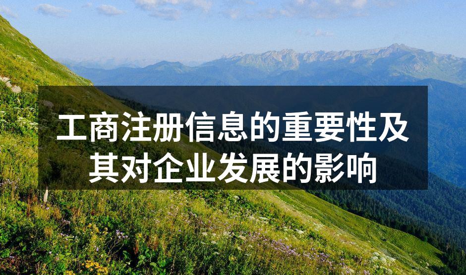 工商注册信息的重要性及其对企业发展的影响