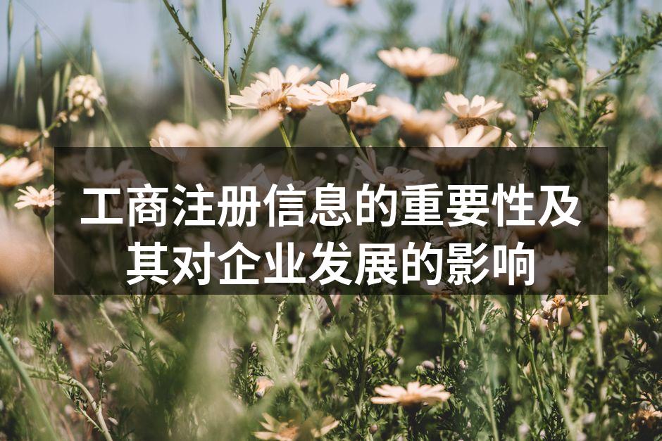 工商注册信息的重要性及其对企业发展的影响
