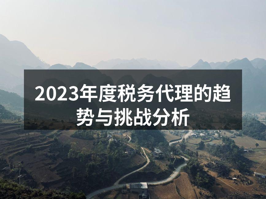 2023年度税务代理的趋势与挑战分析