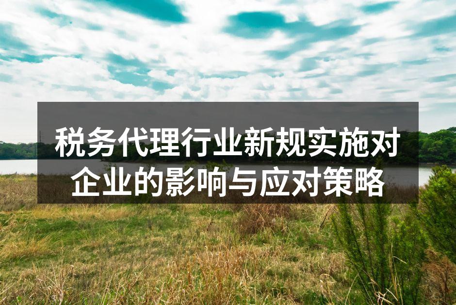 税务代理行业新规实施对企业的影响与应对策略