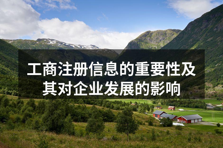 工商注册信息示例