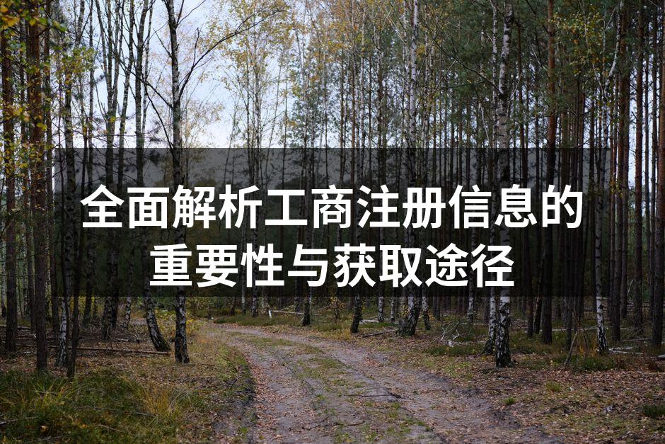 全面解析工商注册信息的重要性与获取途径